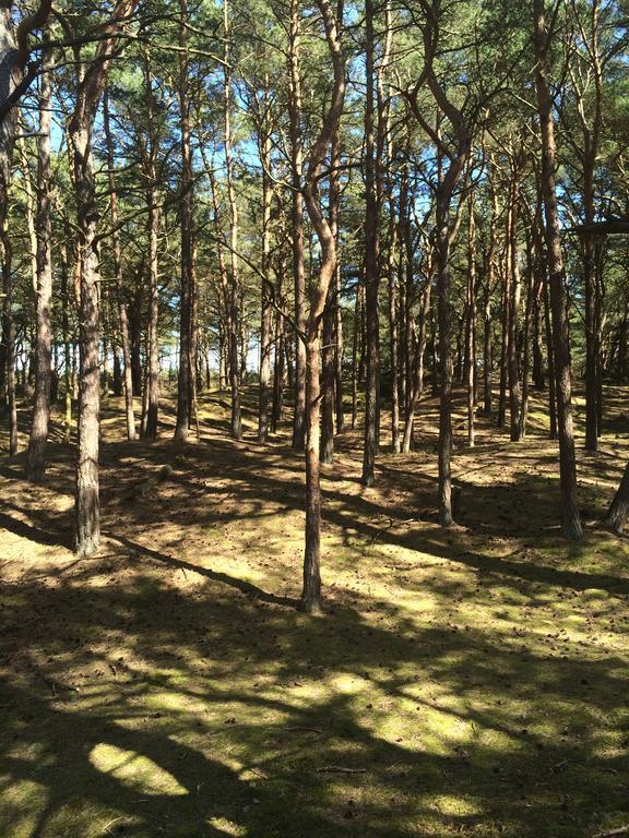 Hotel- & Ferienanlage Kapitaens-Haeuser Breege Kültér fotó